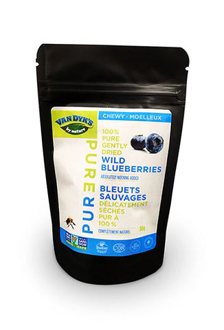 A pouch of Van Dyk's Chewy Wild Blueberries.