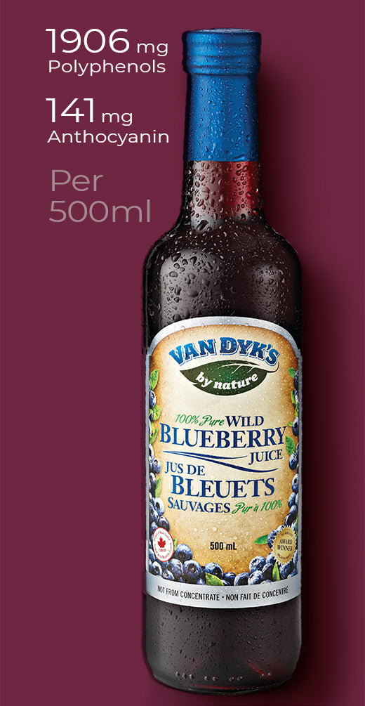 A bottle of Van Dyk's 100% Wild Blueberry Juice with the following stats next to it, 1906mg polyphenols, 141mg anthocyanins, per 500ml serving'.'