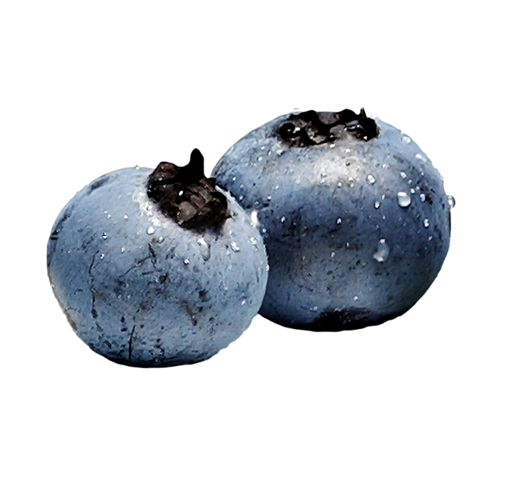 two blueberries